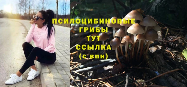 MESCALINE Баксан