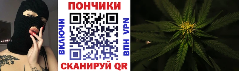 Конопля AK-47  где найти   hydra tor  Отрадная 